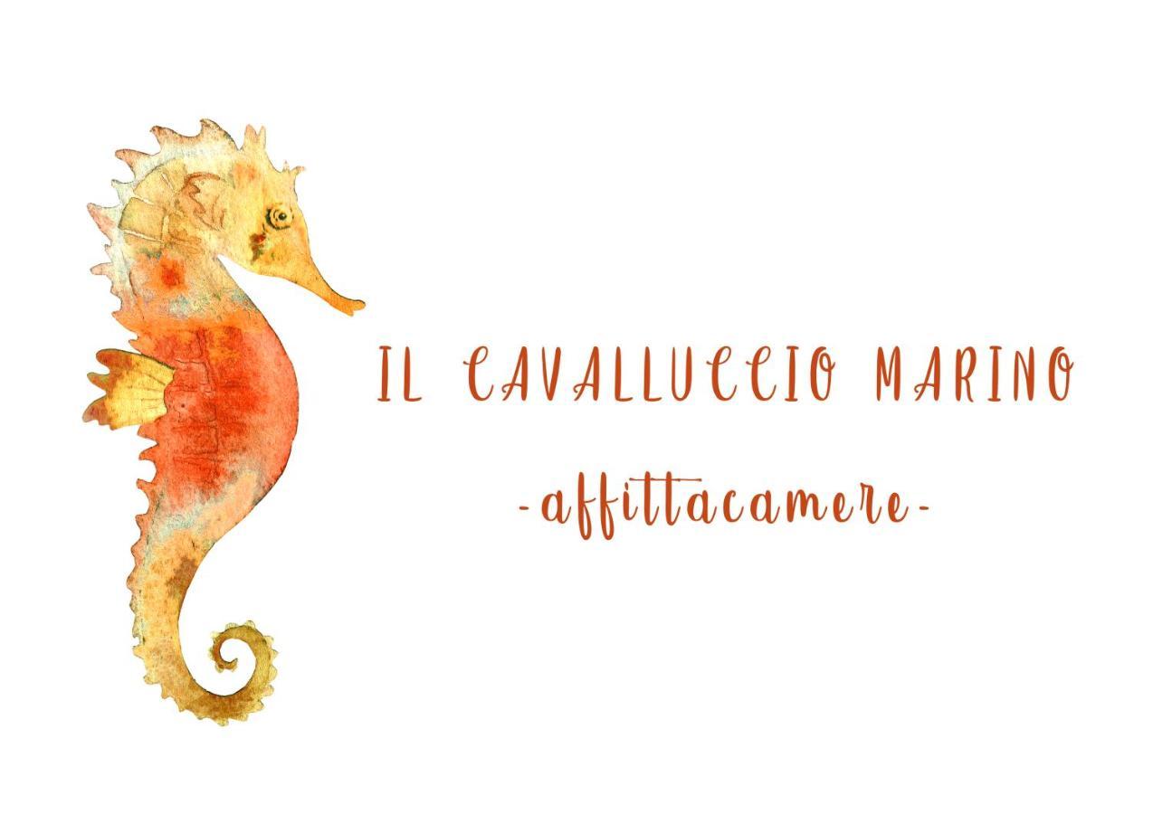 Il Cavalluccio Marino Manarola Exterior foto